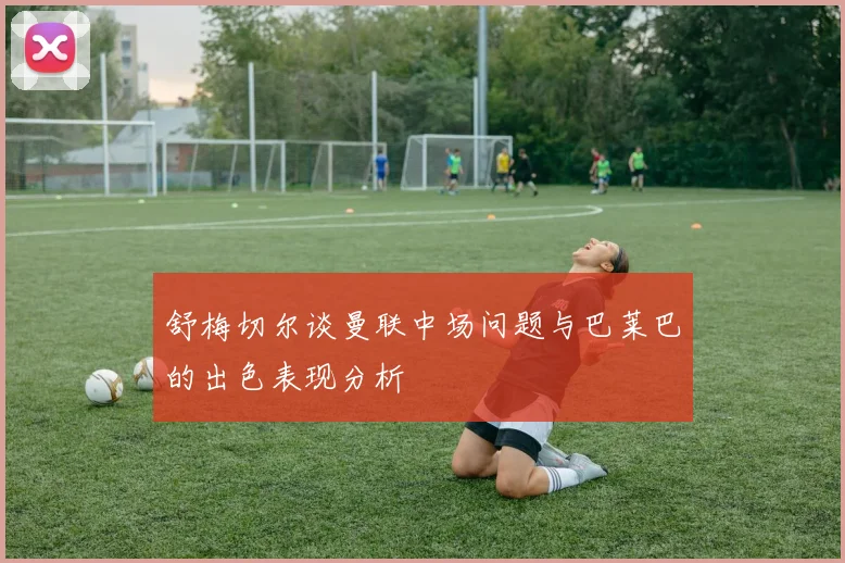 舒梅切尔谈曼联中场问题与巴莱巴的出色表现分析
